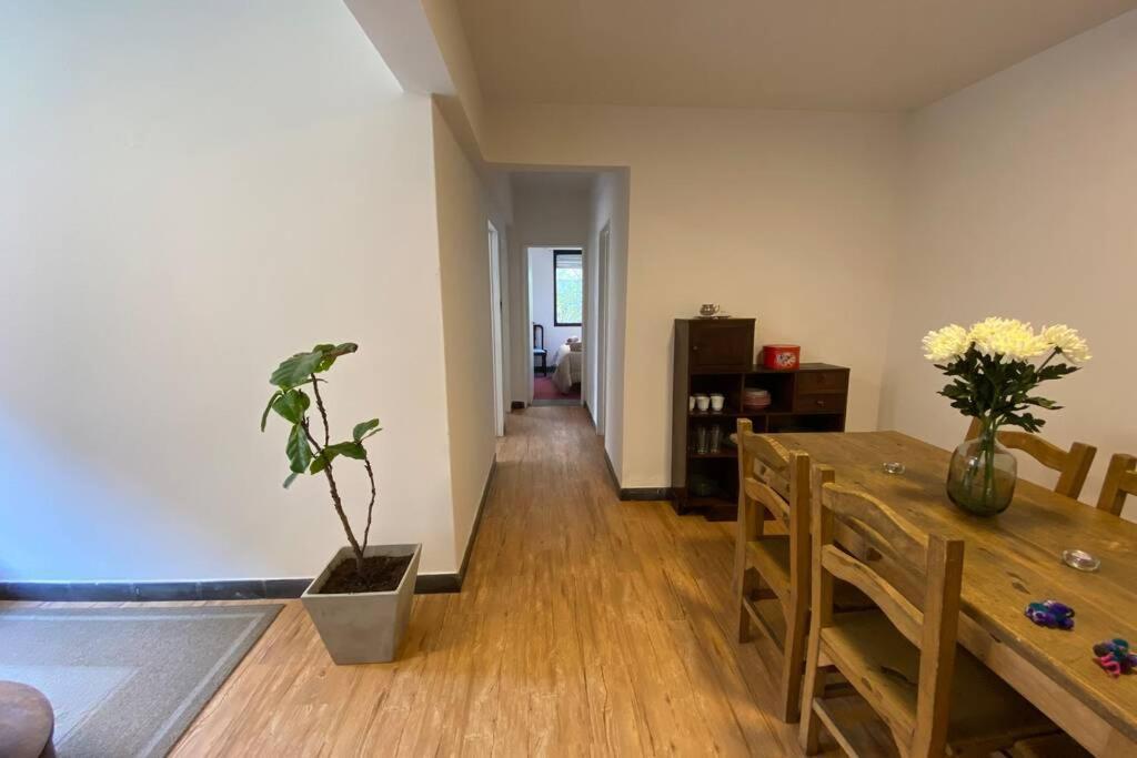 Ferienwohnung Departamento Centrico A Metros De Plaza Belgrano San Salvador de Jujuy Exterior foto